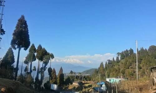 Dhotrey Near Manebhanjan Darjeeling | Dhotrey Homestay Accommodation ...