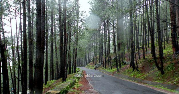 Nearest Hill-station of Delhi